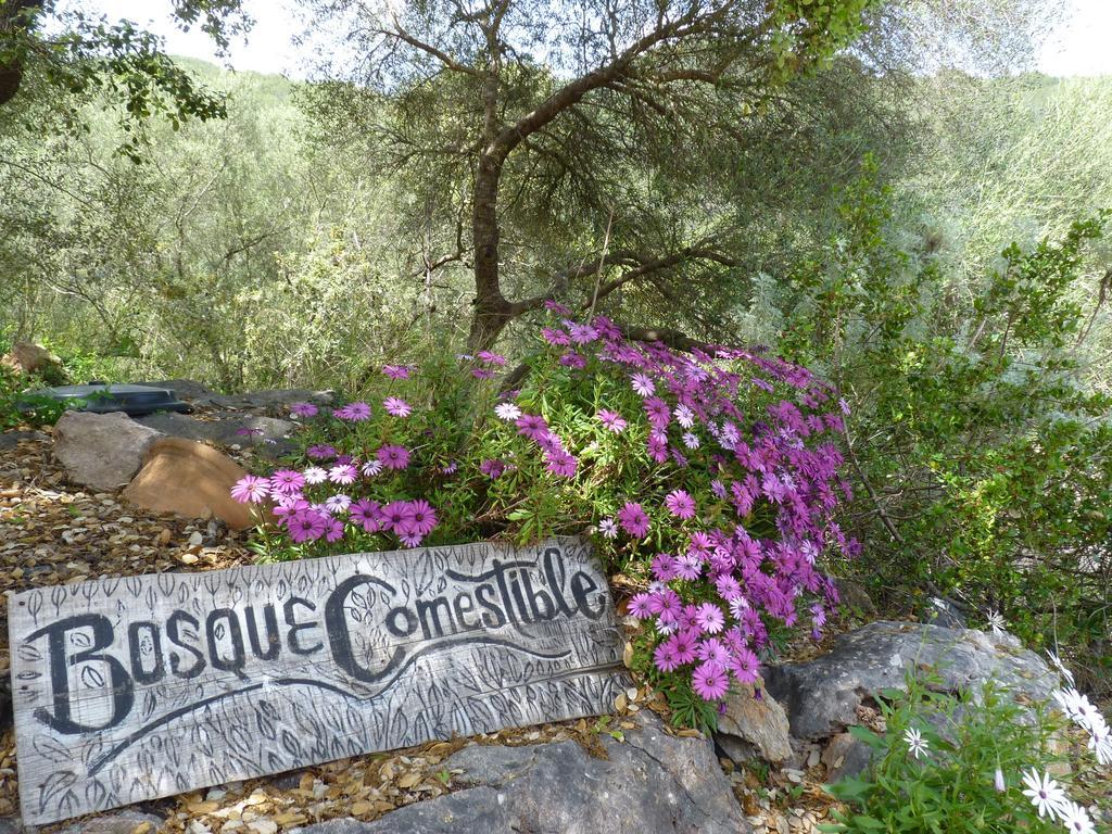 Agroturismo Can Torna Esporles  Exterior foto